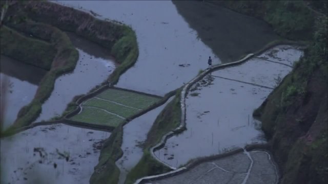 Metro Manila Fragman