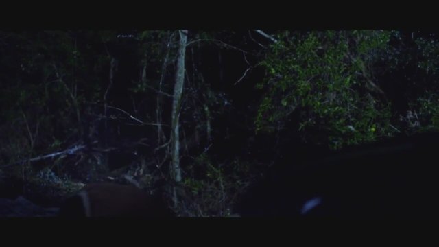 Roadside (2012) Fragman