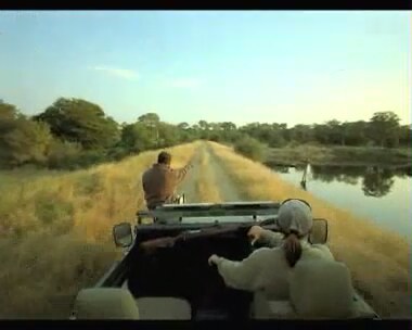 Wild Safari (2005) Fragman