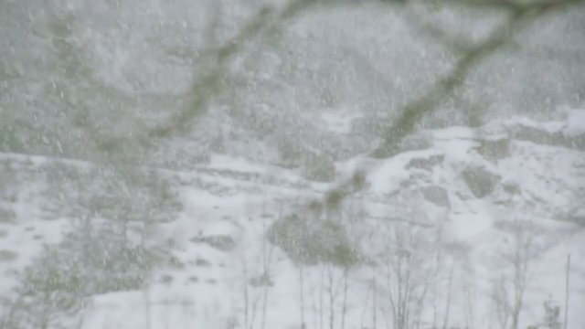 Yohan - Barnevandrer fragmanı