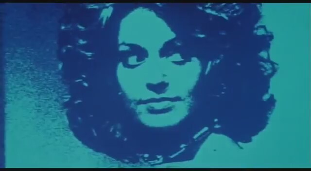 The Cat O' Nine Tails