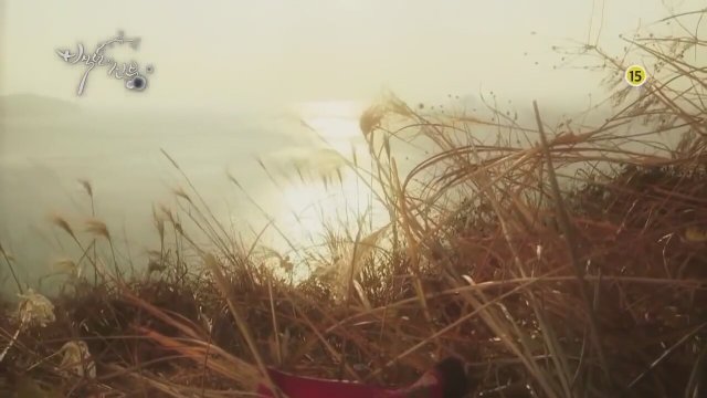 Bride of the Century (2014) fragmanı