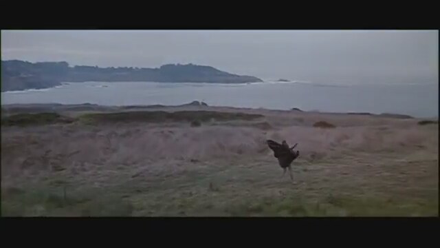 Genç Ölmek (1991) Fragman