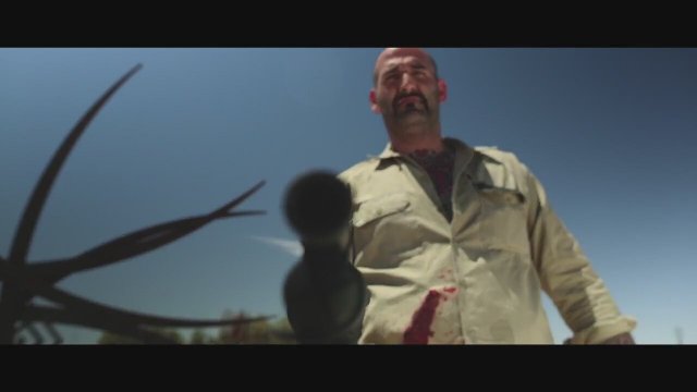 American Muscle Fragman