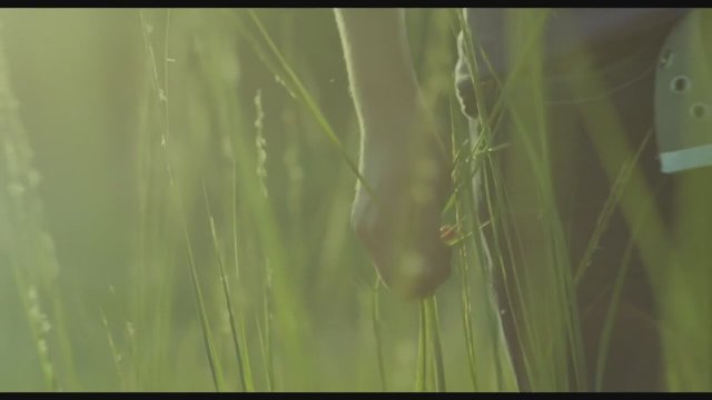 It Felt Like Love (2014) fragmanı