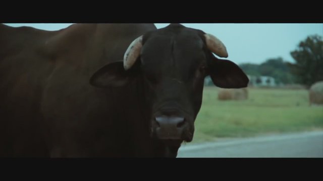 Seven Days In Utopia Fragman