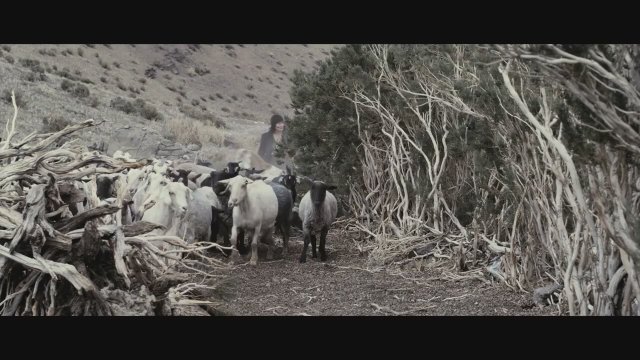 Kız Kardeşler Fragman