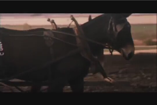 Deadly Blessing Fragman