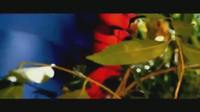 Hum Hai Raahi Car Ke Fragman