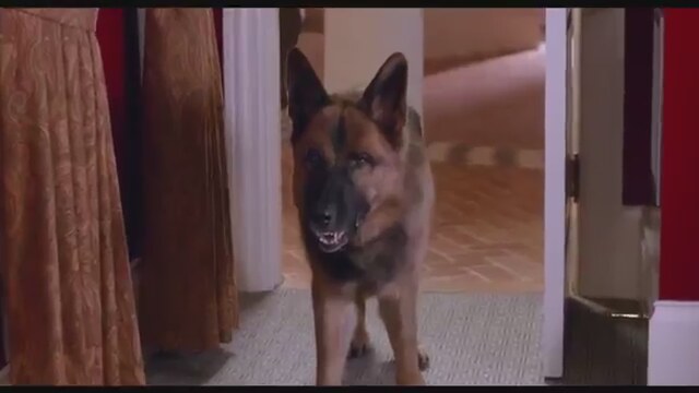 Sex Tape (2014) fragmanı