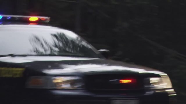 The Stranger Fragman