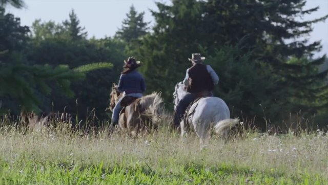 Midnight Stallion (2013) fragmanı