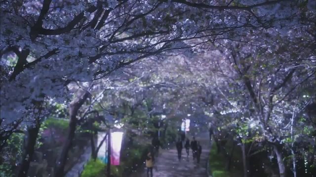 You're All Surrounded (2014) fragmanı