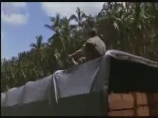  American Ninja Fragman