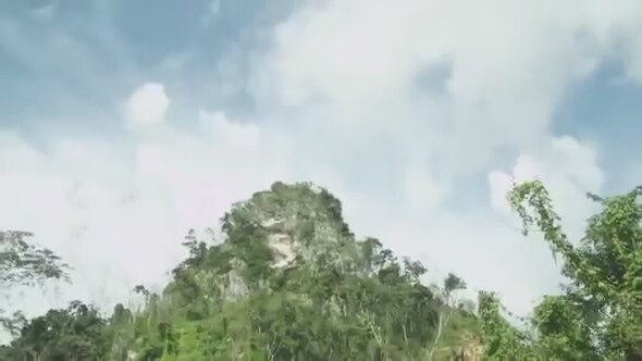 Dragon Wasps Fragman