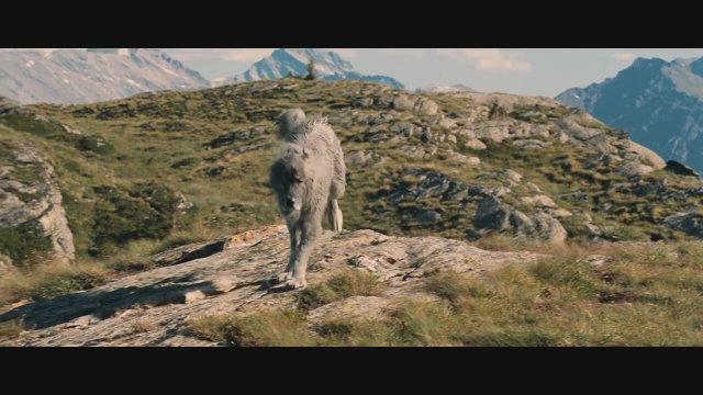 Belle et Sébastien Fragman