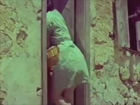 Hayat Sevince Güzel 