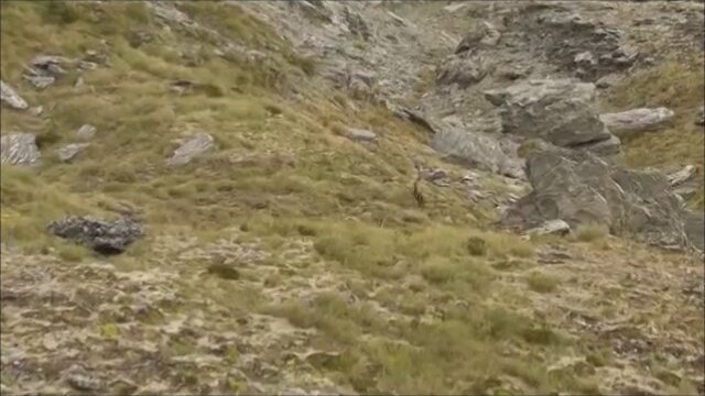 Cowboys vs Dinosaurs (2014) fragmanı