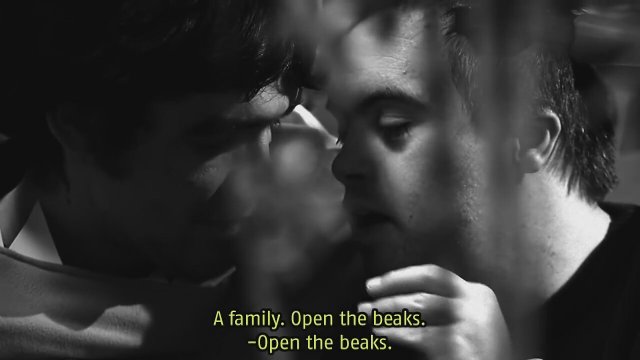 Mein blindes Herz Fragman