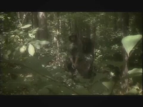 When Soldiers Cry Fragman