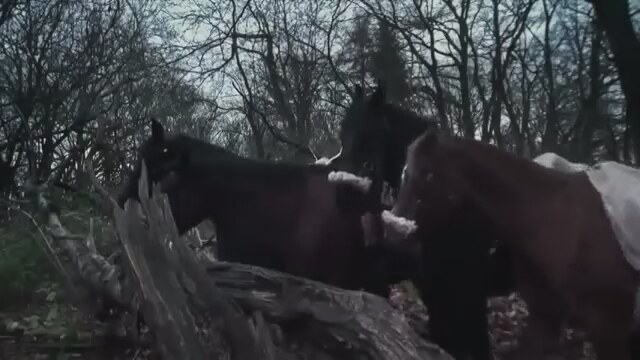 Robin Hood Ghosts of Sherwood Fragman