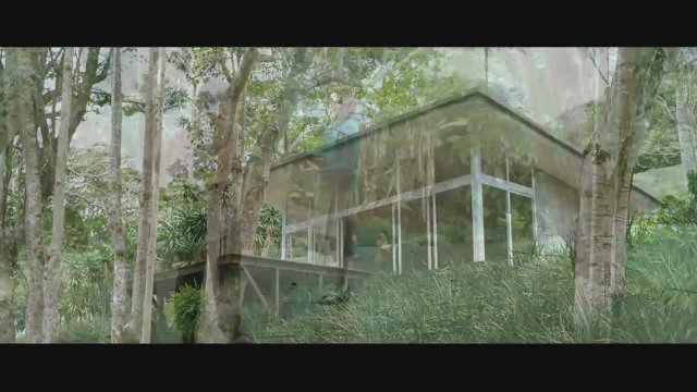 Flores Raras Fragman