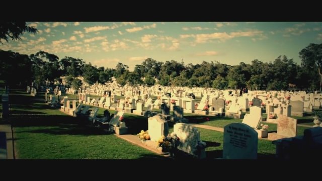 Wild Justice Fragman