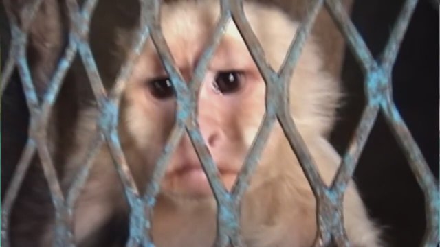 The Hidden Hand: Alien Contact and the Government Cover-Up F