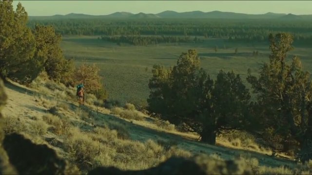 Wild (2014) fragmanı