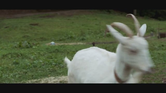 Je te survivrai (2014) fragmanı