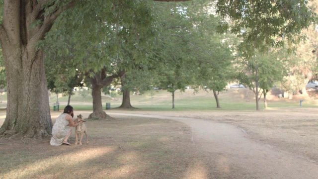 Helen Keller Had a Pitbull Fragman