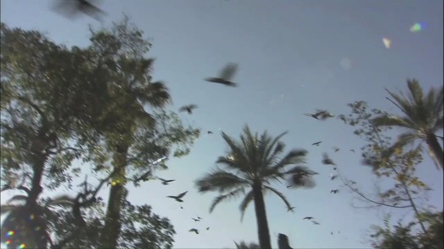 I Am (2010) fragmanı