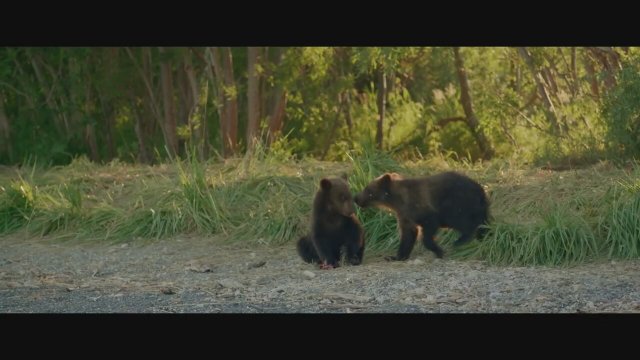 Terre des Ours (2014) fragmanı