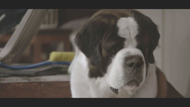 Beethoven's Christmas Adventure (2011) fragmanı