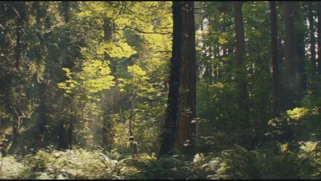 All The Wilderness (2014) Fragman