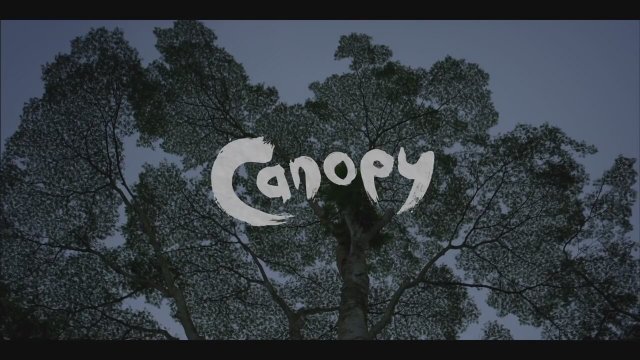 Canopy (2013) Fragman