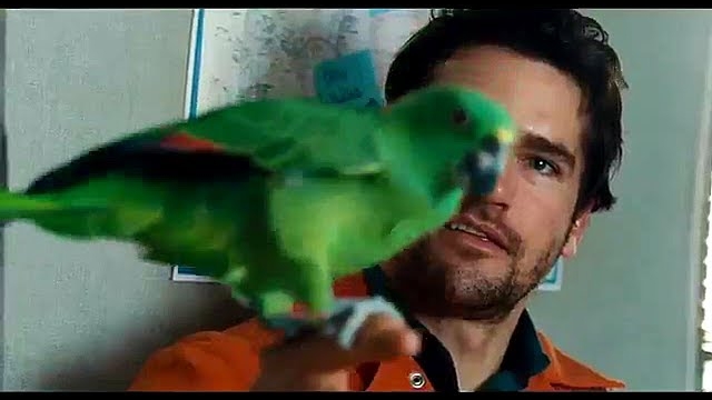 A Bird of the Air (2011) Fragman