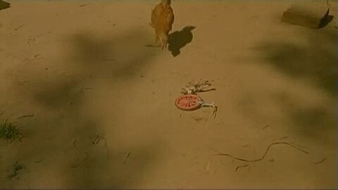 Ölüler (Los Muertos) Fragman