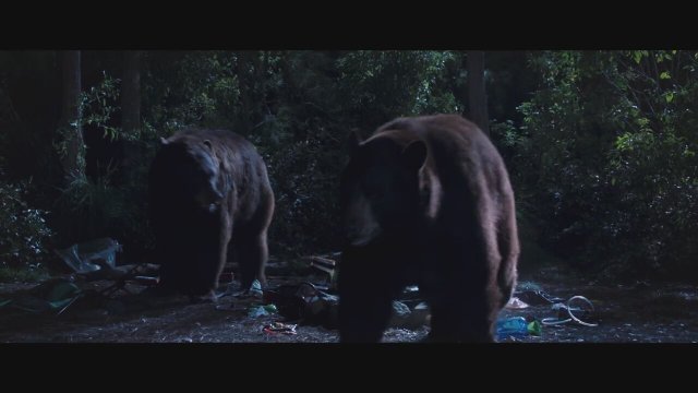 A Walk in the Woods (2015) Fragman