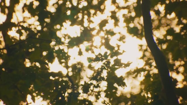 People, Places, Things (2015) Fragman